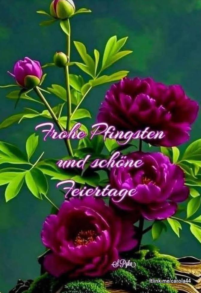 😊